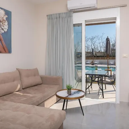 Cinque Terre Kamelia *