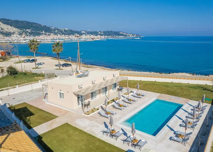 Cinque Terre Kamelia *