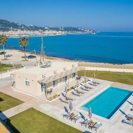 Cinque Terre Kamelia *