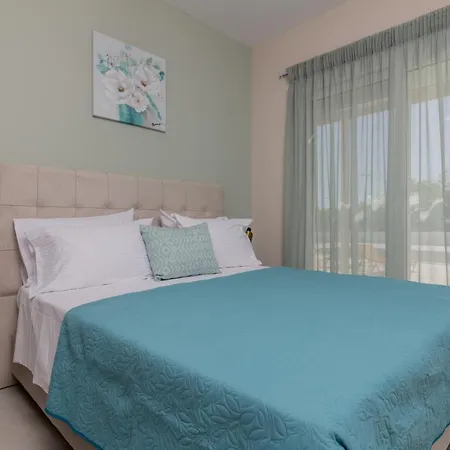 Cinque Terre Kamelia